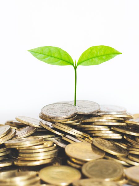 Green seed growth on coins stack with white background. money saving. business investment successful growing concept.