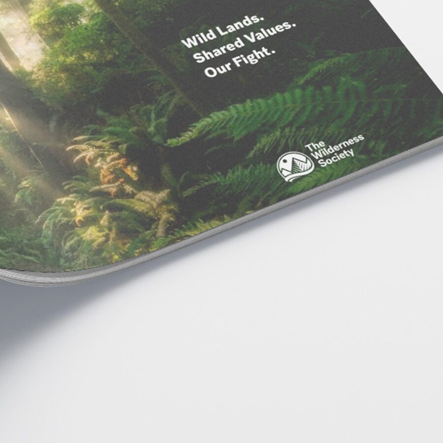 The Wilderness Society Exterior Brochure