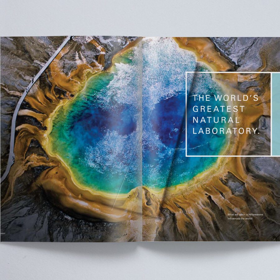 Yellowstone Interior Brochure