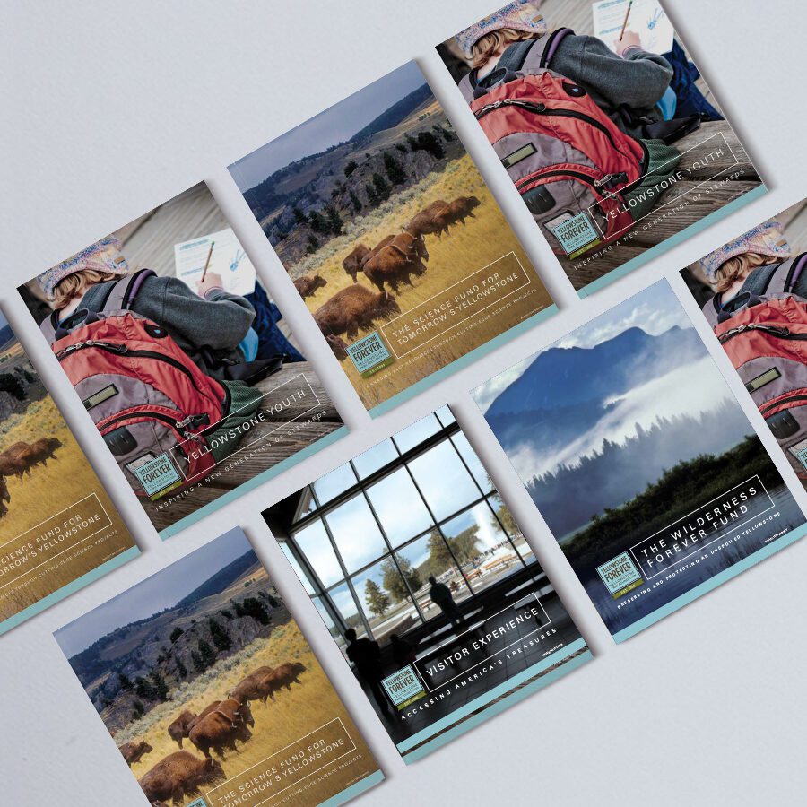 Yellowstone Forever Campaign Inserts