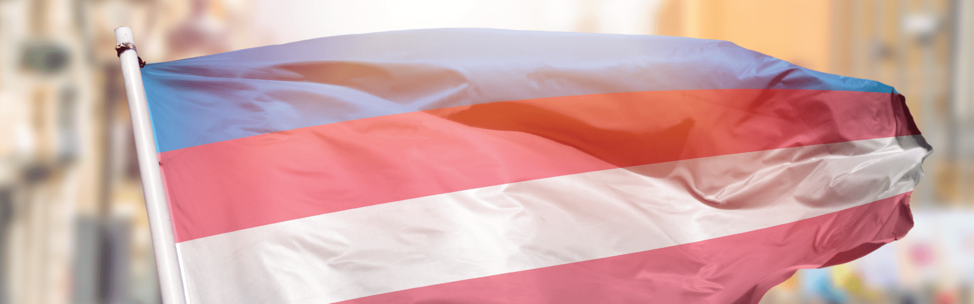 How Nonprofits Can Advance the Fight for LBGTQIA+ Rights & Futures