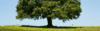 Nine Ways To Talk About Endowment With Your Donors